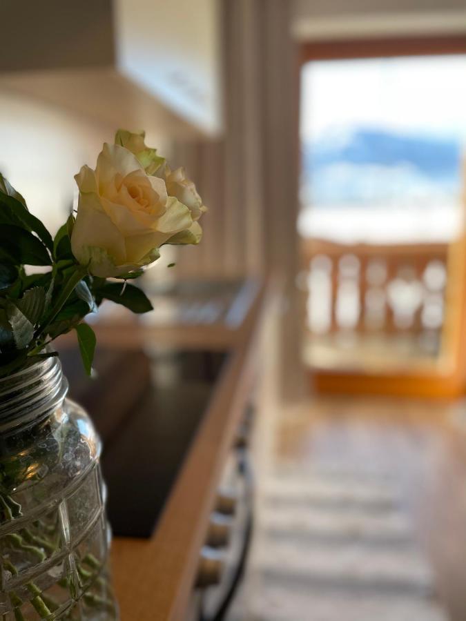 Schusterhof-Appartments Dölsach エクステリア 写真